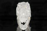 Carved Quartz Crystal Dinosaur Skull - Roar! #218503-3
